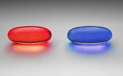 Témoignage de la réalisatrice américaine Cassie Jayee – Féminisme